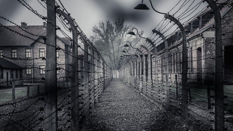 Imagem do post: Dia Internacional e Estadual em Memória das Vítimas do Holocausto